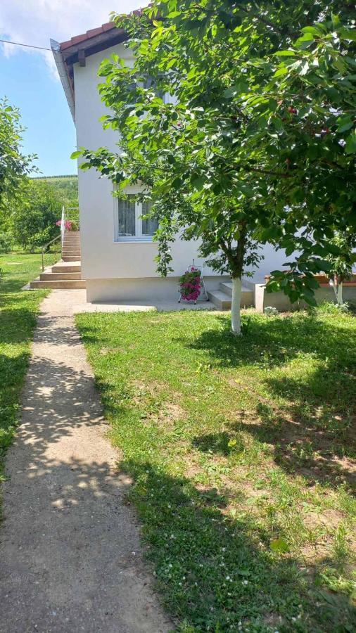 Apartman Flora Vrdnik Exterior foto