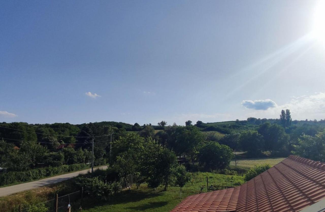 Apartman Flora Vrdnik Exterior foto